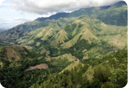 MT Latimojong