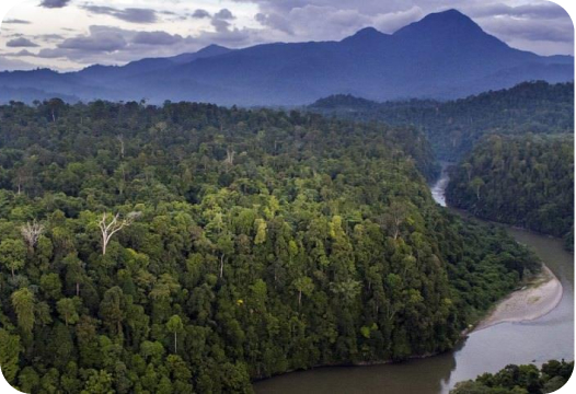 MT Leuser
