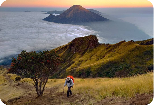 MT Sumbing